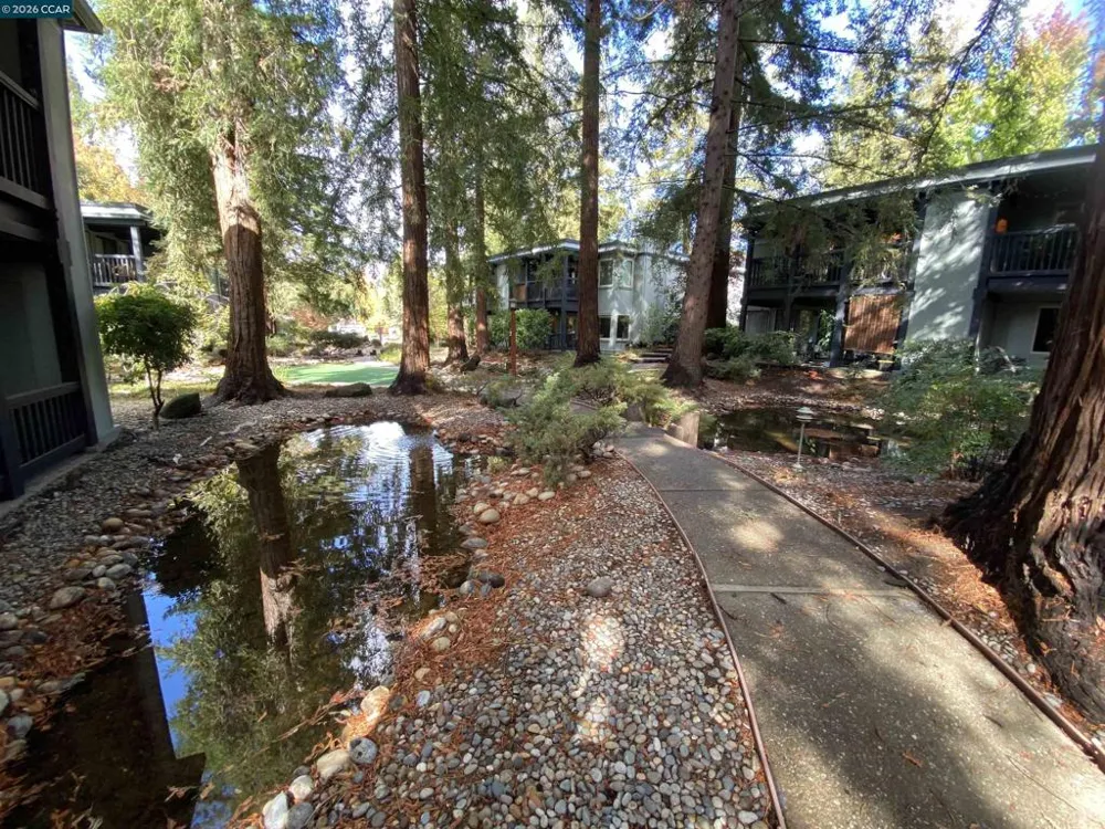 167 Rubicon Cir Danville, CA 94526