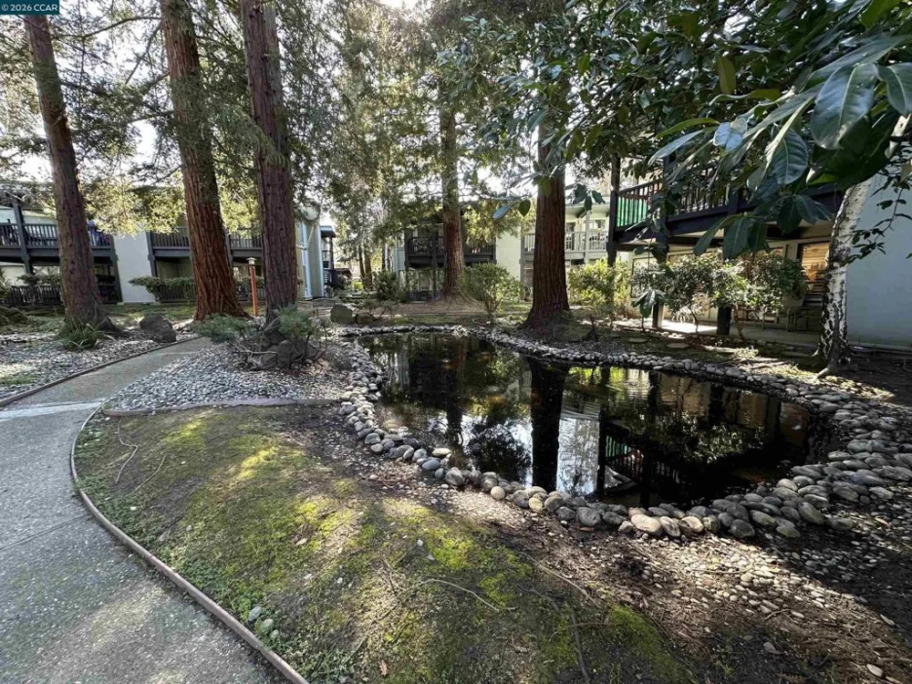 167 Rubicon Cir Danville, CA 94526