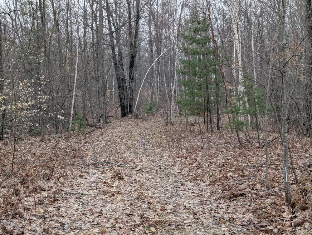 21 Mile Road Evart, MI 49631