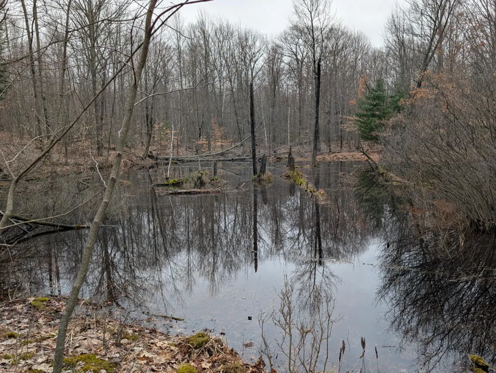21 Mile Road Evart, MI 49631