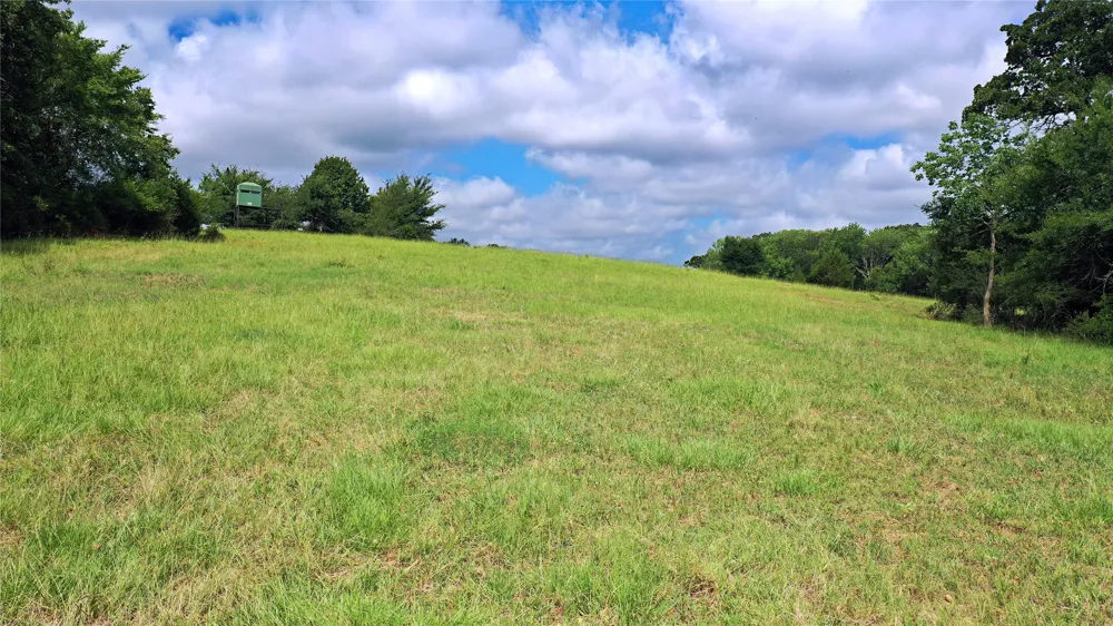 County Road 4090 Kerens, TX 75144
