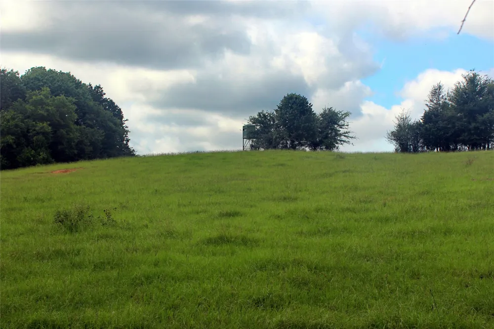 County Road 4090 Kerens, TX 75144