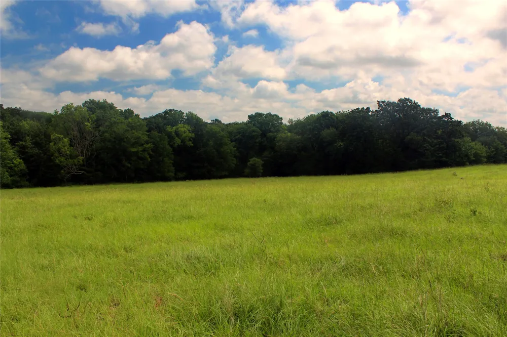 County Road 4090 Kerens, TX 75144