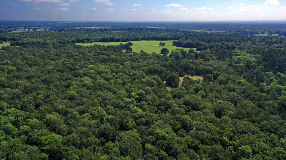 County Road 4090 Kerens, TX 75144