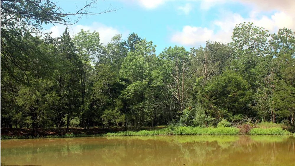 County Road 4090 Kerens, TX 75144