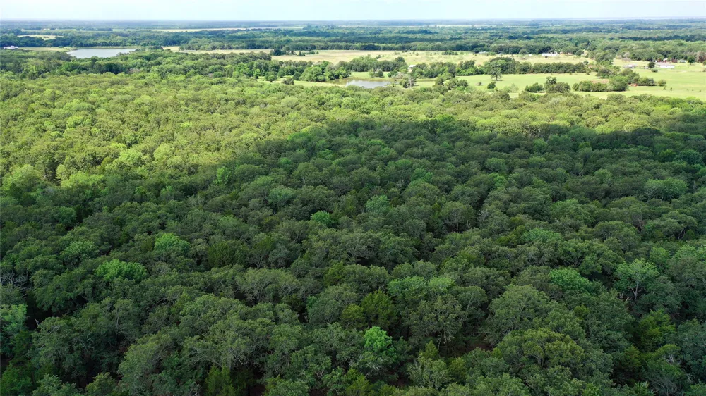 County Road 4090 Kerens, TX 75144