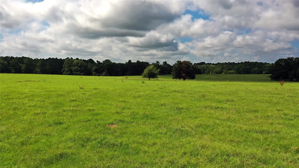 County Road 4090 Kerens, TX 75144