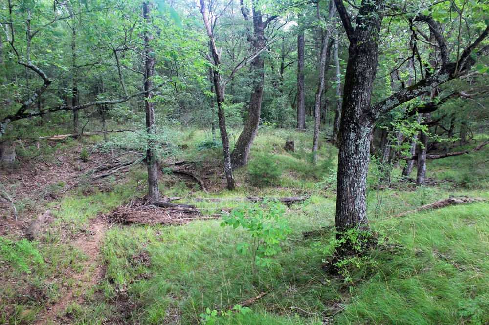 County Road 4090 Kerens, TX 75144