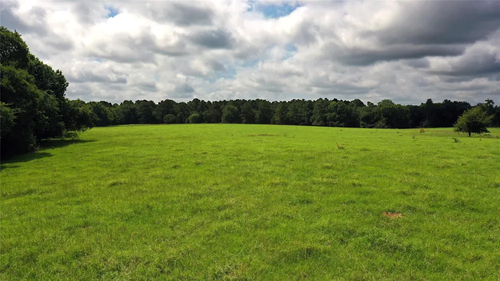 County Road 4090 Kerens, TX 75144