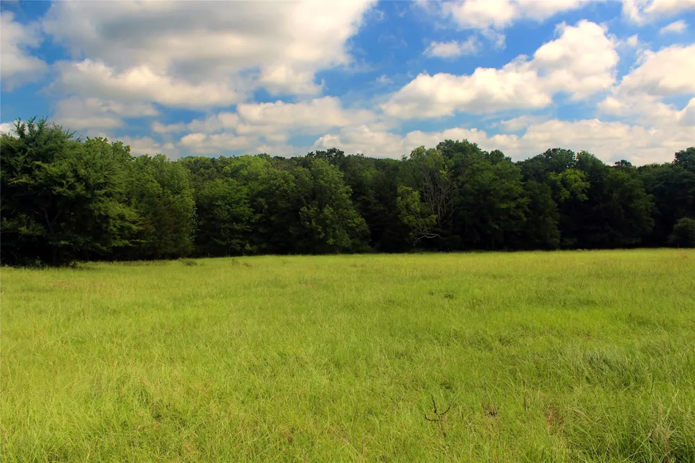 County Road 4090 Kerens, TX 75144