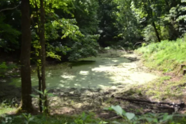 425 Baugh Hollow Ln Gainesboro, TN 38562