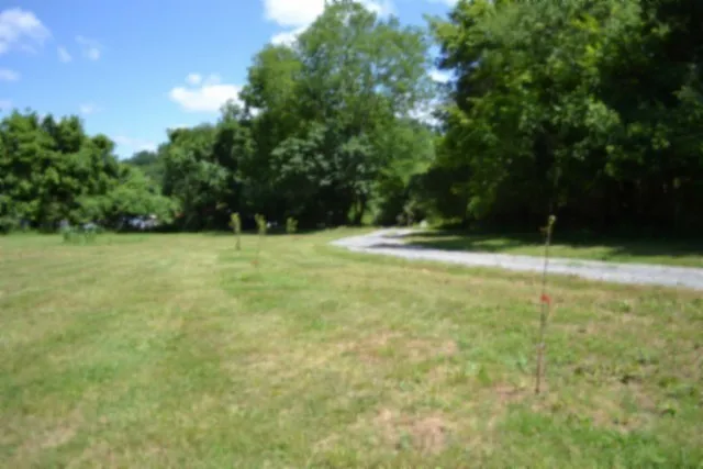 425 Baugh Hollow Ln Gainesboro, TN 38562