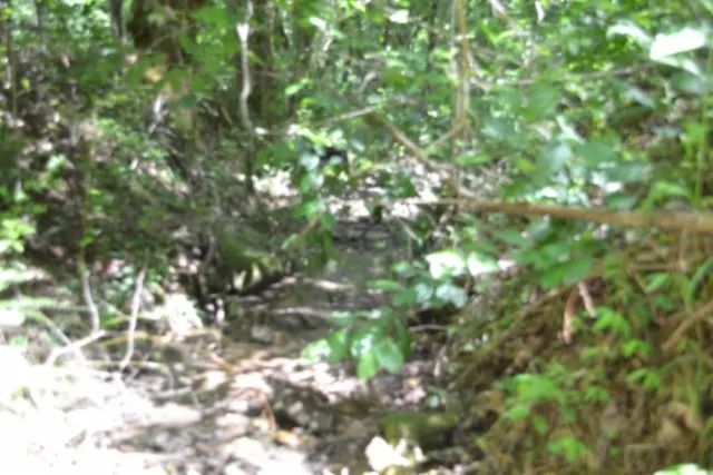 425 Baugh Hollow Ln Gainesboro, TN 38562