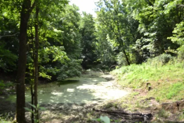 425 Baugh Hollow Ln Gainesboro, TN 38562