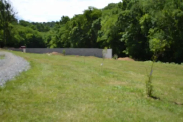 425 Baugh Hollow Ln Gainesboro, TN 38562