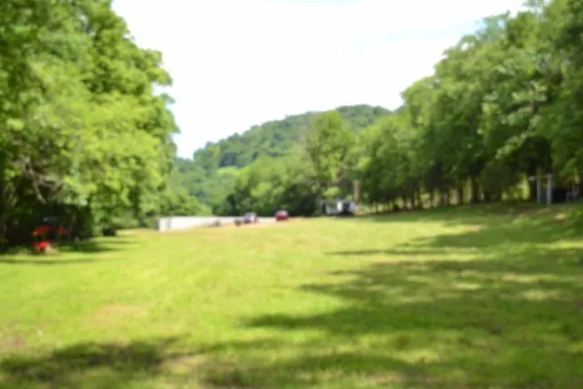 425 Baugh Hollow Ln Gainesboro, TN 38562