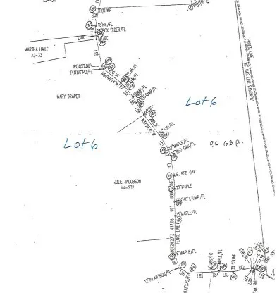 425 Baugh Hollow Ln Gainesboro, TN 38562