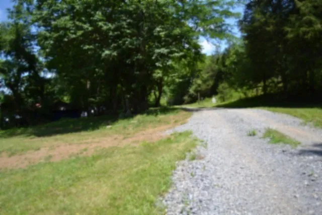 425 Baugh Hollow Ln Gainesboro, TN 38562