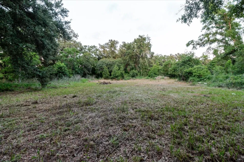 11152 GALAXY LANE Thonotosassa, FL 33592