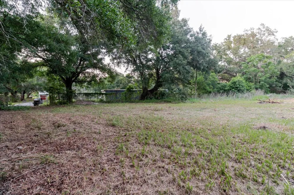 11152 GALAXY LANE Thonotosassa, FL 33592