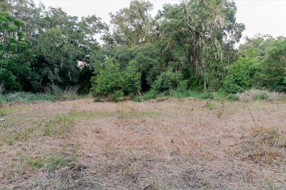11152 GALAXY LANE Thonotosassa, FL 33592