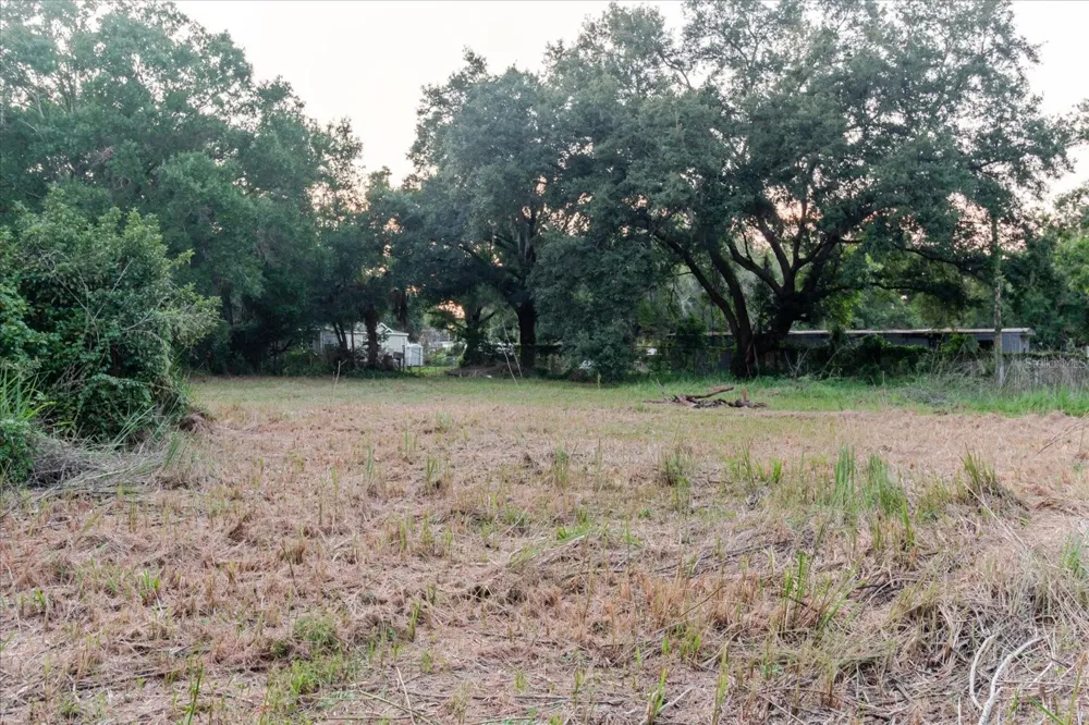 11152 GALAXY LANE Thonotosassa, FL 33592