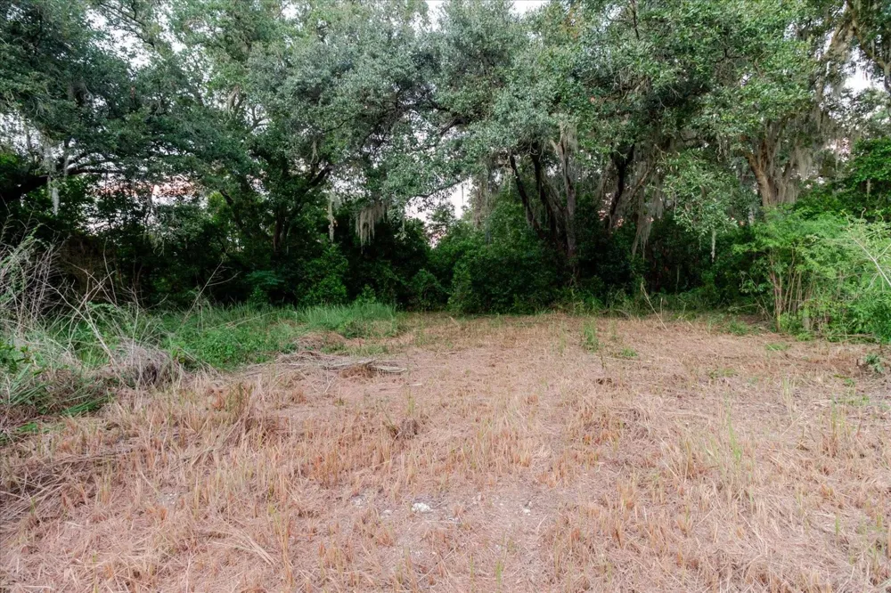 11152 GALAXY LANE Thonotosassa, FL 33592
