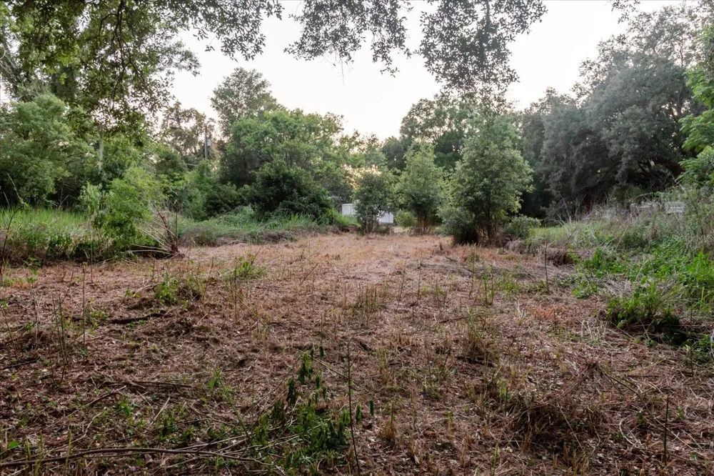 11152 GALAXY LANE Thonotosassa, FL 33592