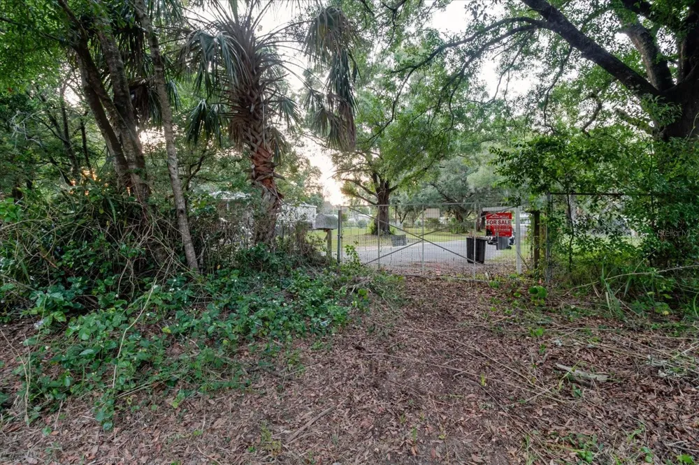 11152 GALAXY LANE Thonotosassa, FL 33592