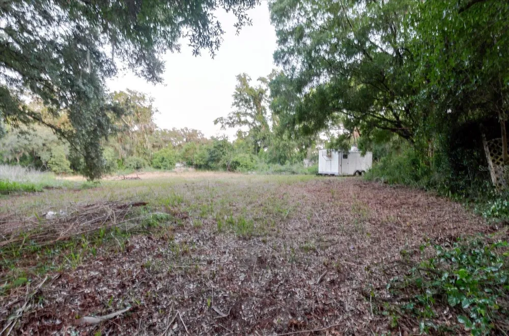 11152 GALAXY LANE Thonotosassa, FL 33592