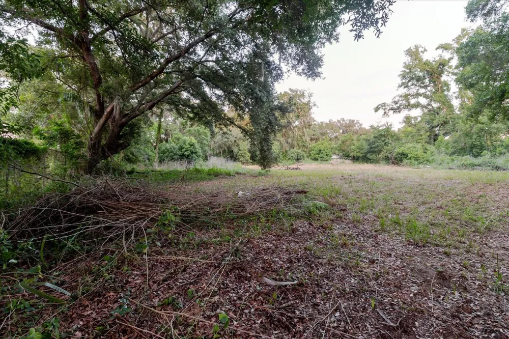 11152 GALAXY LANE Thonotosassa, FL 33592
