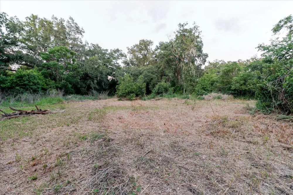 11152 GALAXY LANE Thonotosassa, FL 33592