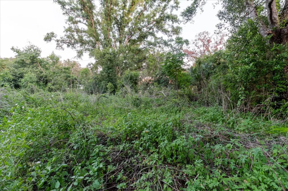 11152 GALAXY LANE Thonotosassa, FL 33592