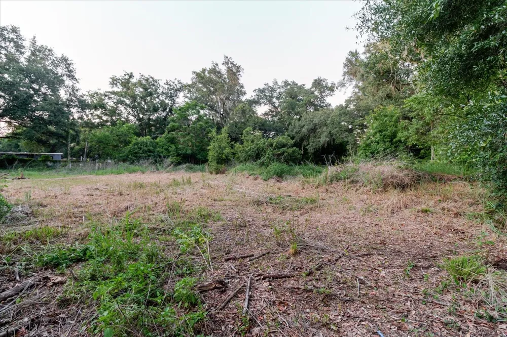11152 GALAXY LANE Thonotosassa, FL 33592