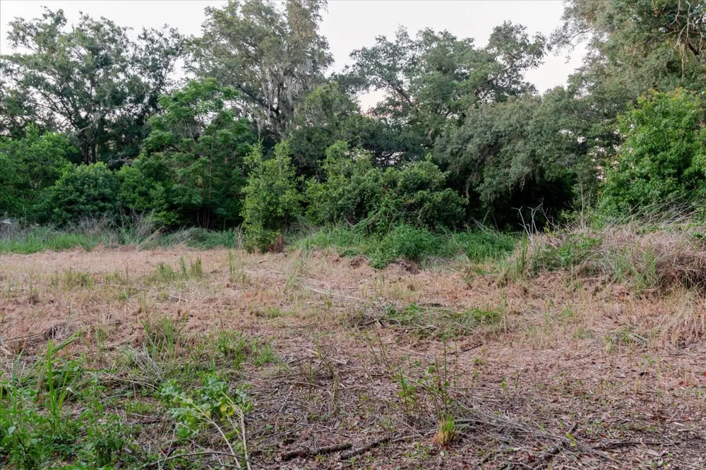 11152 GALAXY LANE Thonotosassa, FL 33592
