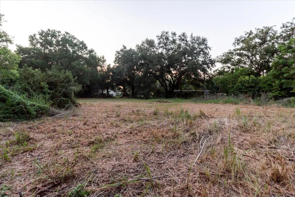 11152 GALAXY LANE Thonotosassa, FL 33592