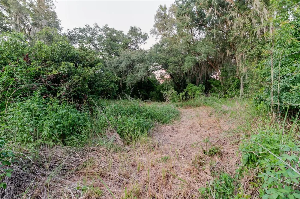 11152 GALAXY LANE Thonotosassa, FL 33592