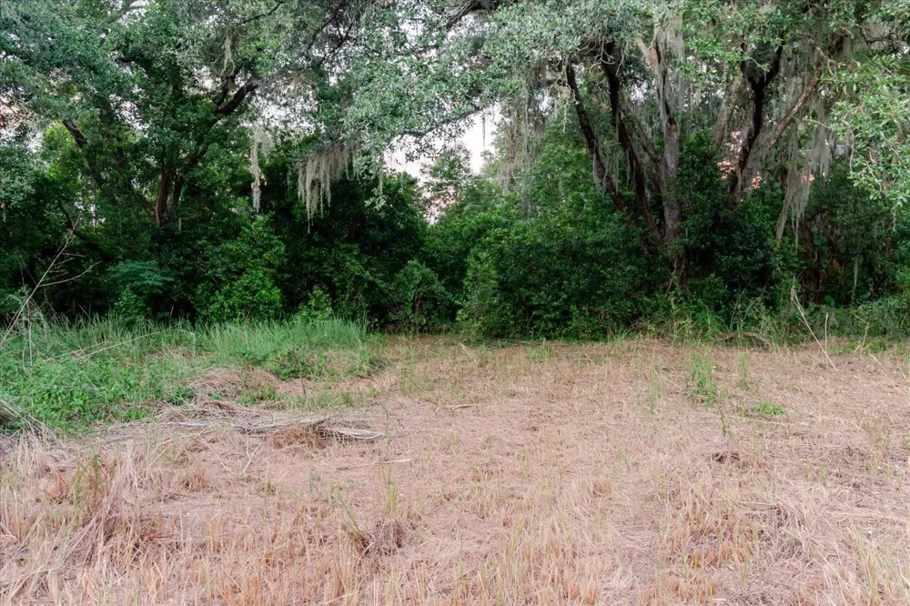 11152 GALAXY LANE Thonotosassa, FL 33592