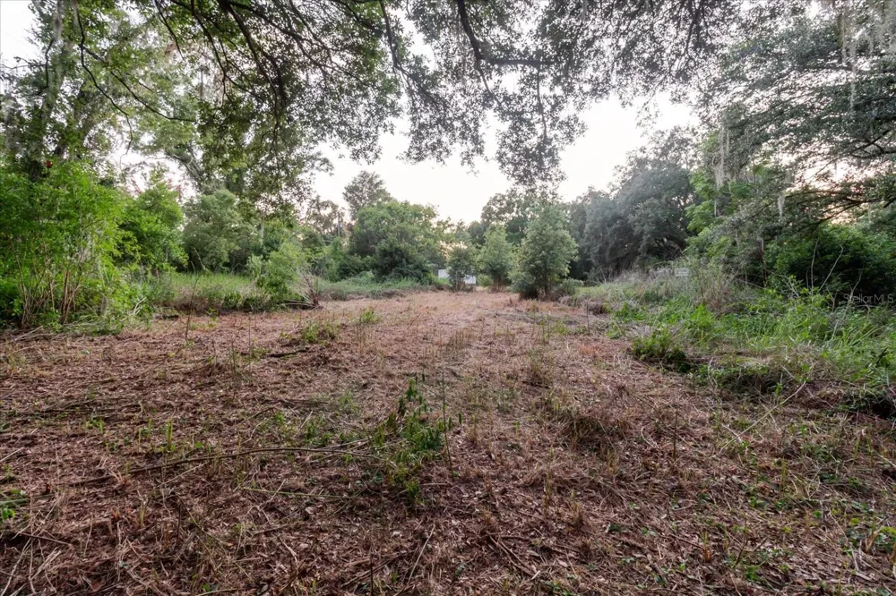 11152 GALAXY LANE Thonotosassa, FL 33592