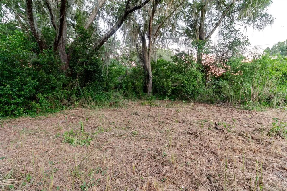11152 GALAXY LANE Thonotosassa, FL 33592