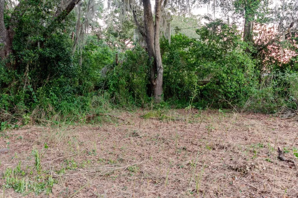 11152 GALAXY LANE Thonotosassa, FL 33592