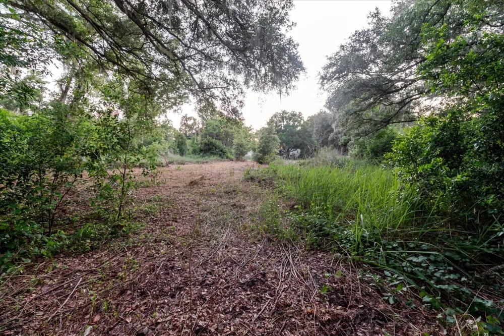 11152 GALAXY LANE Thonotosassa, FL 33592