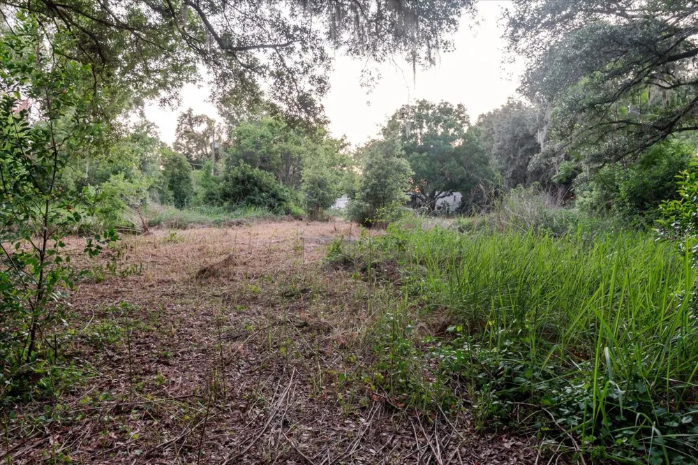 11152 GALAXY LANE Thonotosassa, FL 33592