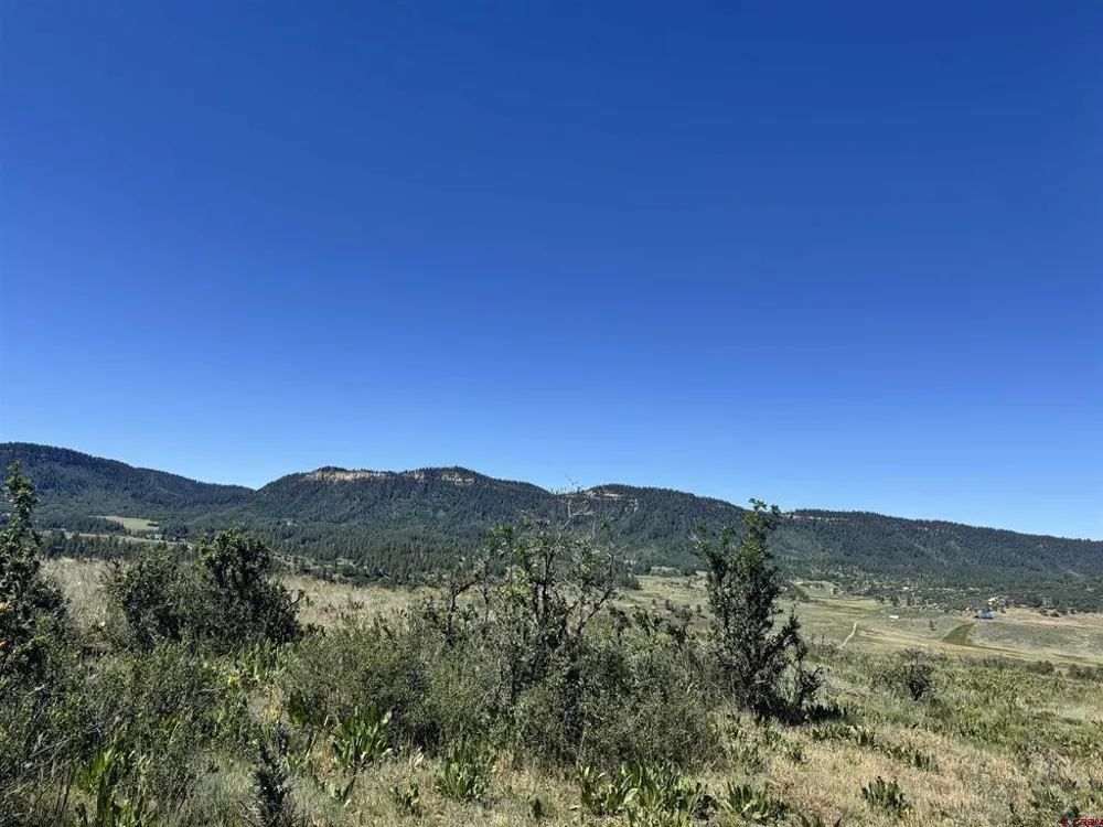 764 Irwins Place Chromo, CO 81128