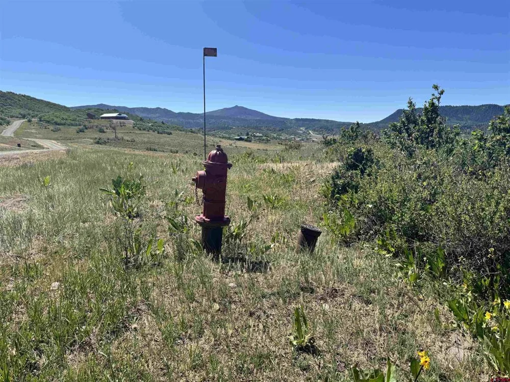 764 Irwins Place Chromo, CO 81128