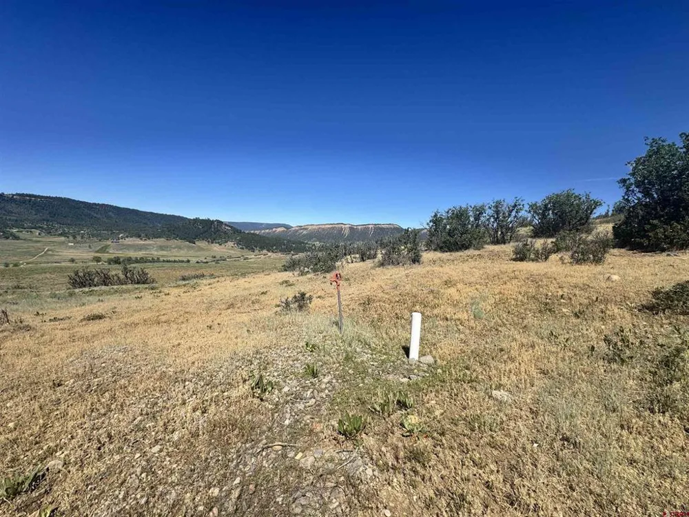 764 Irwins Place Chromo, CO 81128