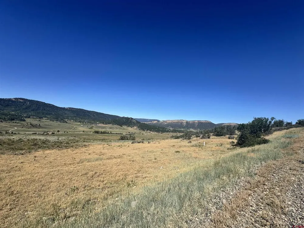 764 Irwins Place Chromo, CO 81128