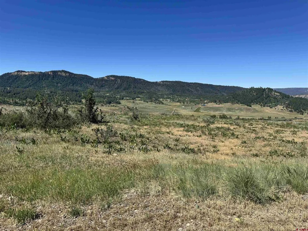764 Irwins Place Chromo, CO 81128