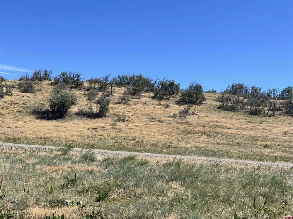 764 Irwins Place Chromo, CO 81128