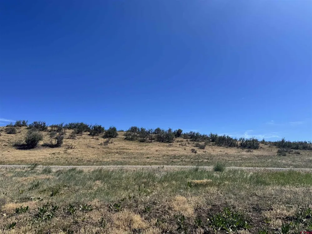 764 Irwins Place Chromo, CO 81128